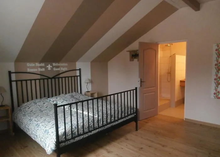 Bed & Breakfast Chambres D'hotes La Tulipe